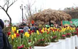 Tưng bừng khai mạc lễ hội Khèn Hoa – Sắc xuân Tây Bắc 2018 tại Fansipan Legend thu hút hàng ngàn du khách đến tham dự