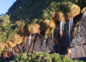 Magical frost that freezes the Fansipan in two days