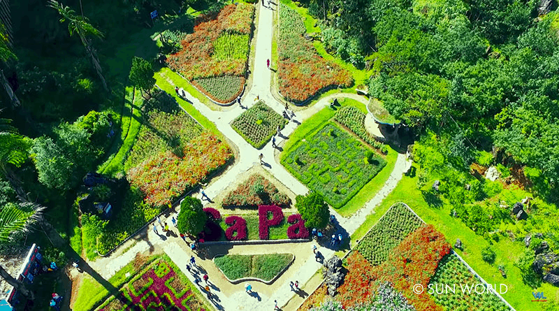 Vườn hoa Hàm Rồng - điểm check-in lý tưởng cho du khách
