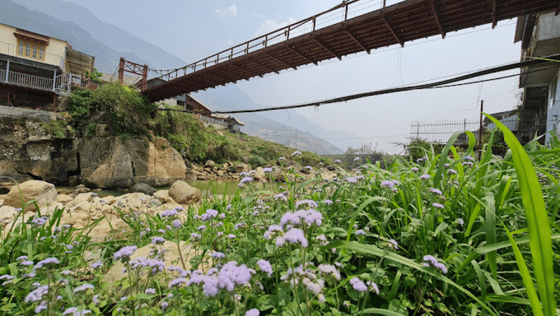 Cây cầu bắc qua con suối Mường Hoa 