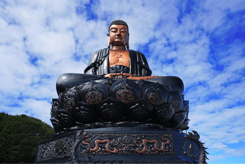 Đức Phật A Di Đà đang nhìn xuống với vẻ mặt từ bi nếu bạn đứng ở cự li gần