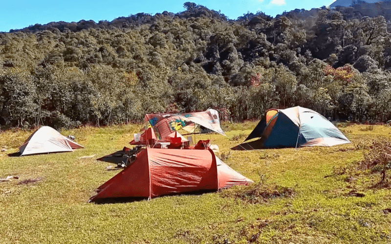Những gian lều trại được dựng lên tại bãi cỏ, sát bên bìa rừng xanh ngát
