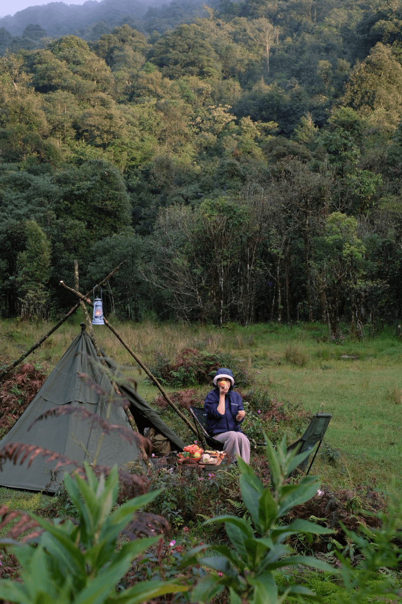 Du khách tận hưởng hoạt động cắm trại giữa Vườn quốc gia Hoàng Liên