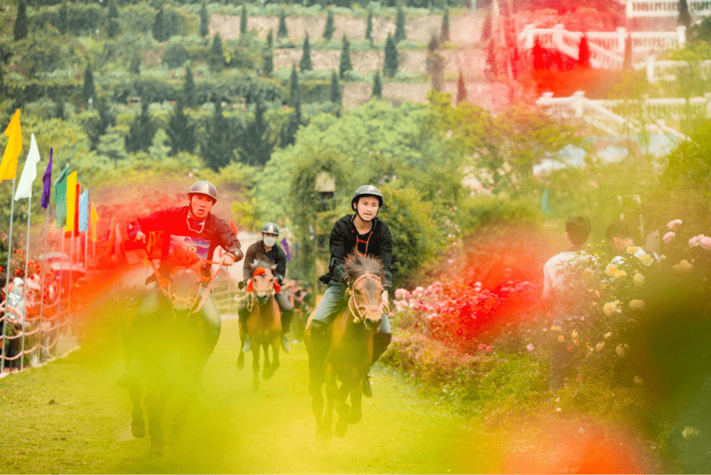 Khung cảnh náo nhiệt của cuộc thi Vó ngựa trên mây tại thung lũng hoa hồng Fansipan