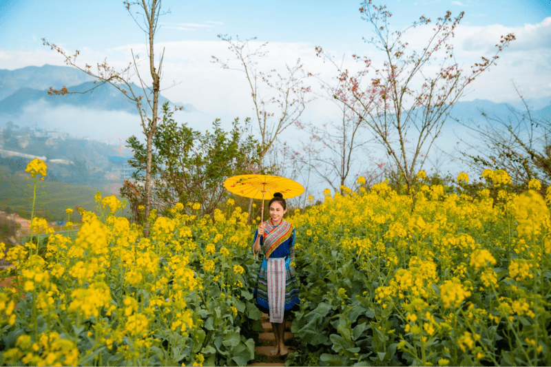 Vườn hoa cải vàng rực một góc trời, góp chung vào không khí hè đang tới trên khắp triền đồi ở Sa Pa