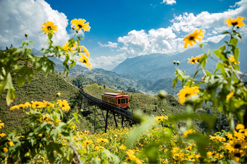 Cận cảnh công trình tàu hoả leo núi đưa du khách đến thung lũng hoa Sapa