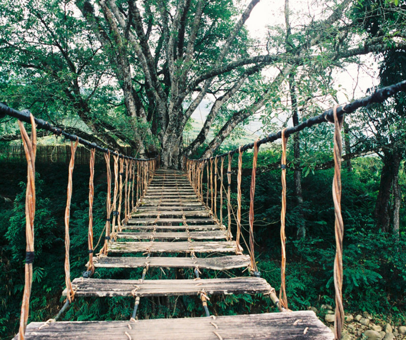 Chinh phục các bậc gỗ trên cây cầu là trải nghiệm đáng thử khi đến Cầu Mây bản Tả Van