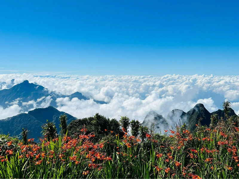 Tầng mây trên đỉnh Fansipan Sa Pa dày ôm lấy đỉnh núi và kéo dài bất tận