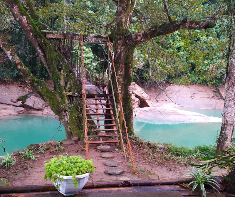 Du khách có thể vừa thưởng thức cafe, vừa ngắm nhìn cây cầu mộc mạc cùng dòng nước suối xanh biếc