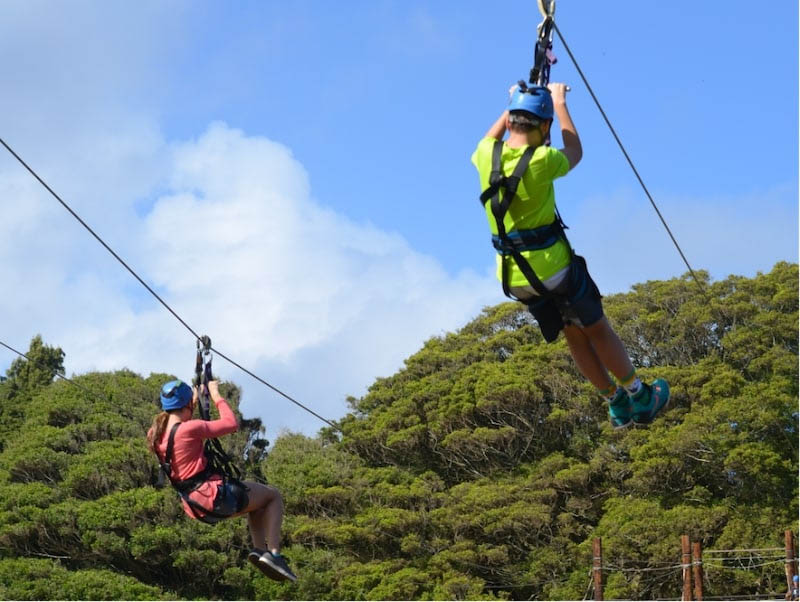 Trò chơi trượt Zipline