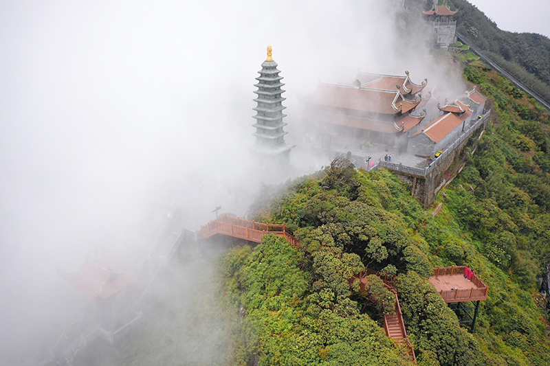 Con đường đỗ quyên thuộc quần thể Kim Sơn Bảo Thắng Tự nhìn từ trên cao
