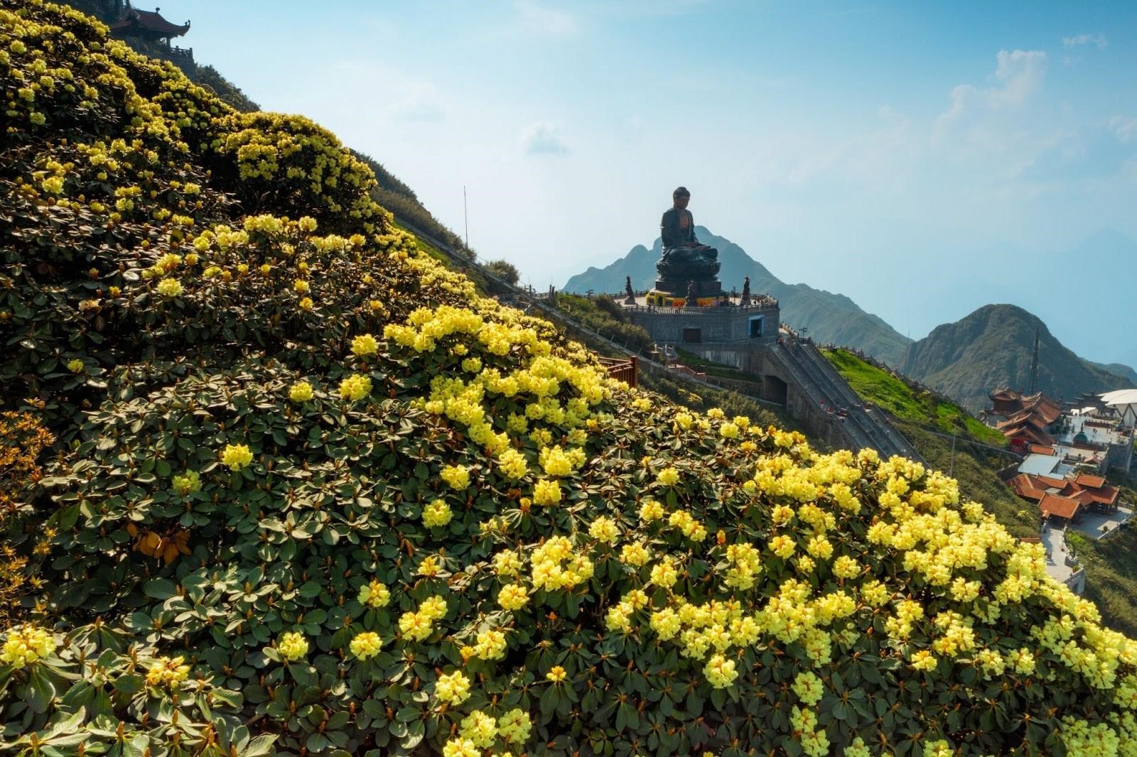 Phật Đản Fansipan 8